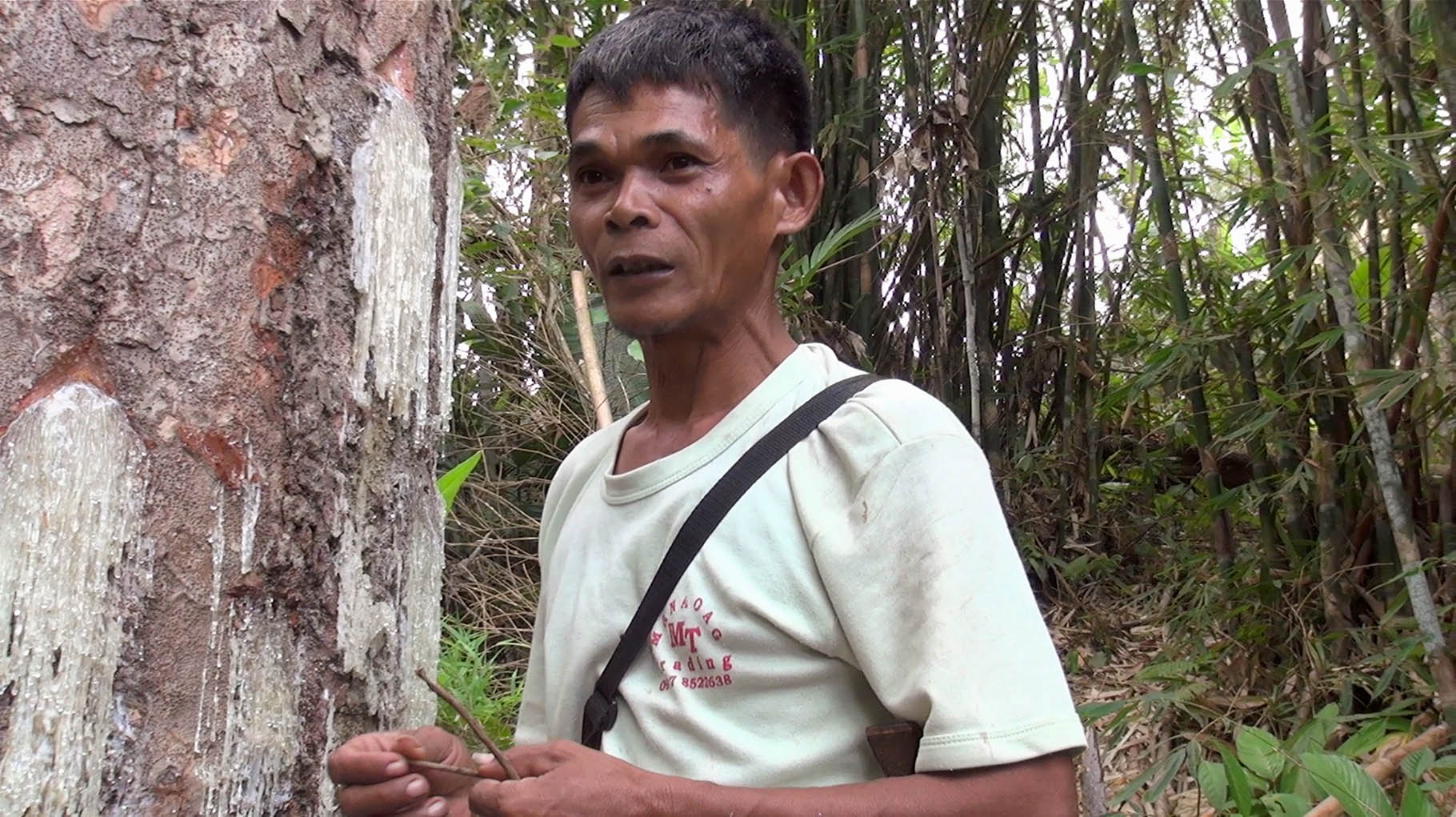 MATERIAL 2016 – 2017